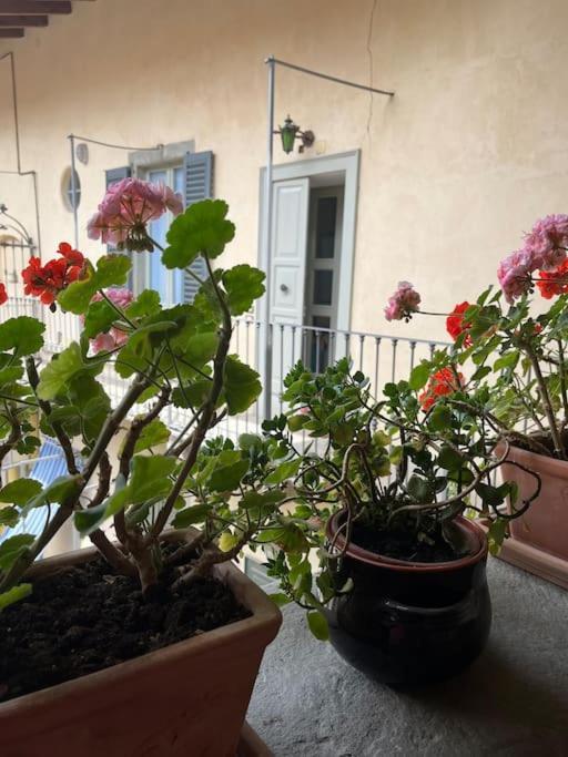 Ey Home Charme&Relax Bergamo Eksteriør bilde
